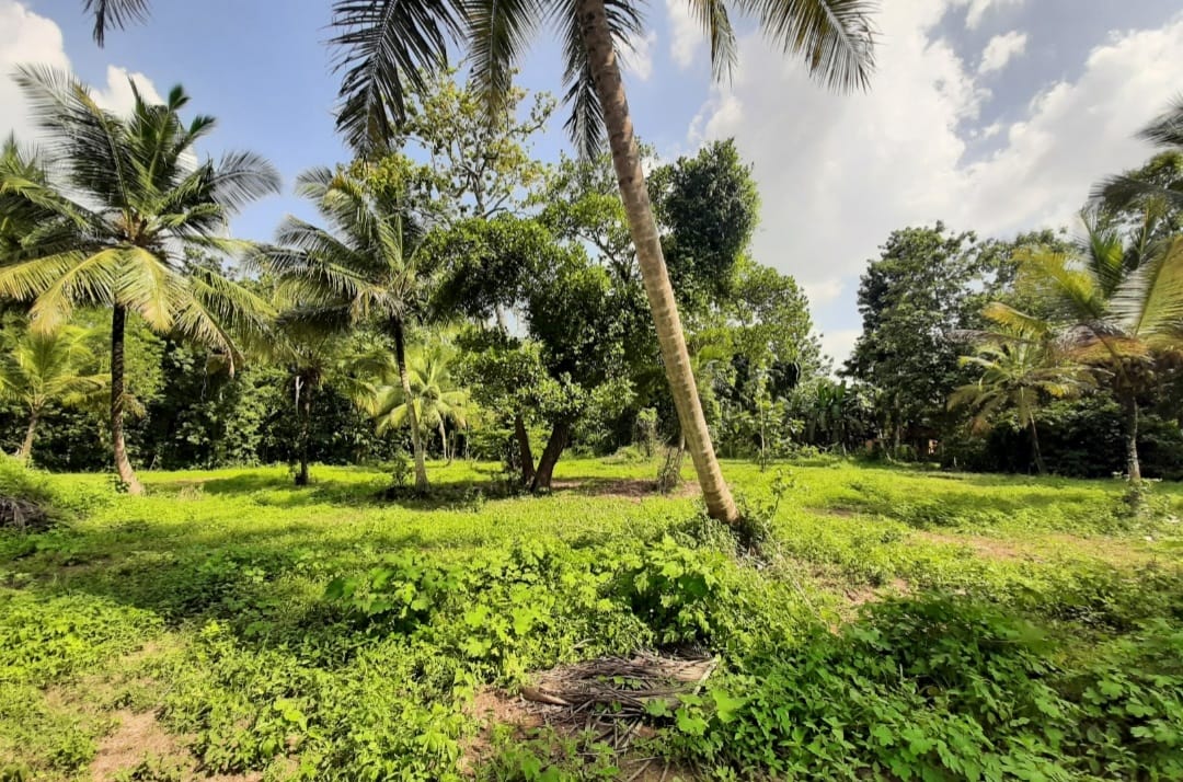 Land for Sale in කුරුණෑගල