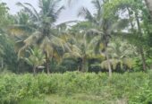 Land for Sale in කුරුණෑගල