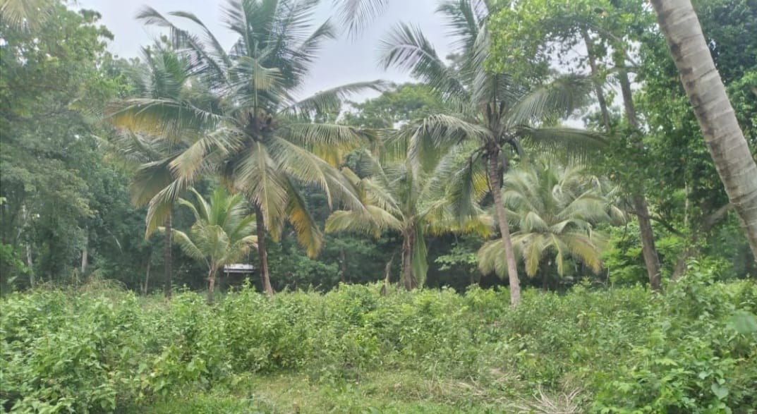 Land for Sale in කුරුණෑගල