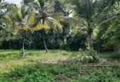Land for Sale in කුරුණෑගල
