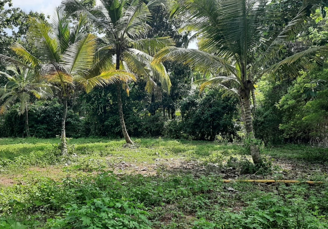 Land for Sale in කුරුණෑගල
