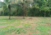 Land for Sale in කුරුණෑගල