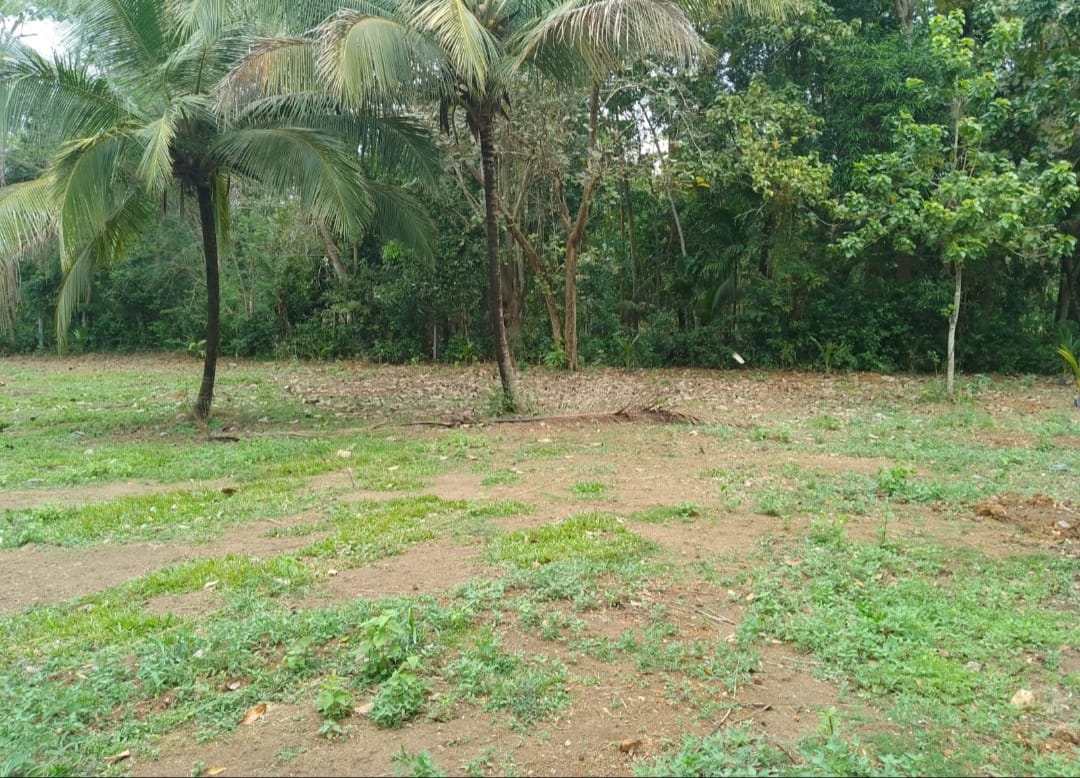 Land for Sale in කුරුණෑගල