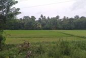 Land for Sale in කුරුණෑගල