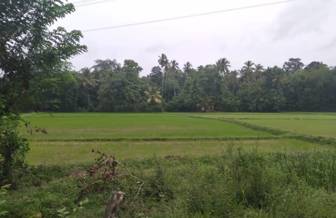 Land for Sale in කුරුණෑගල