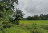 Land for Sale in කුරුණෑගල