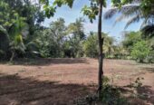 Land for Sale in කුරුණෑගල