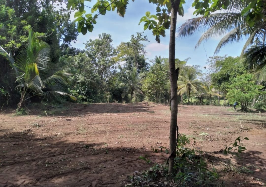 Land for Sale in කුරුණෑගල