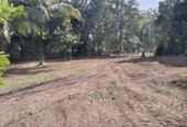 Land for Sale in කුරුණෑගල