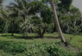 Land for Sale in කුරුණෑගල