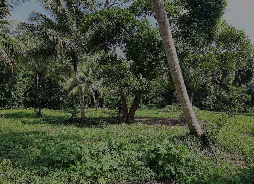 Land for Sale in කුරුණෑගල