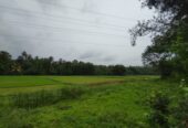 Land for Sale in කුරුණෑගල