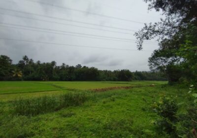 Land for Sale in කුරුණෑගල