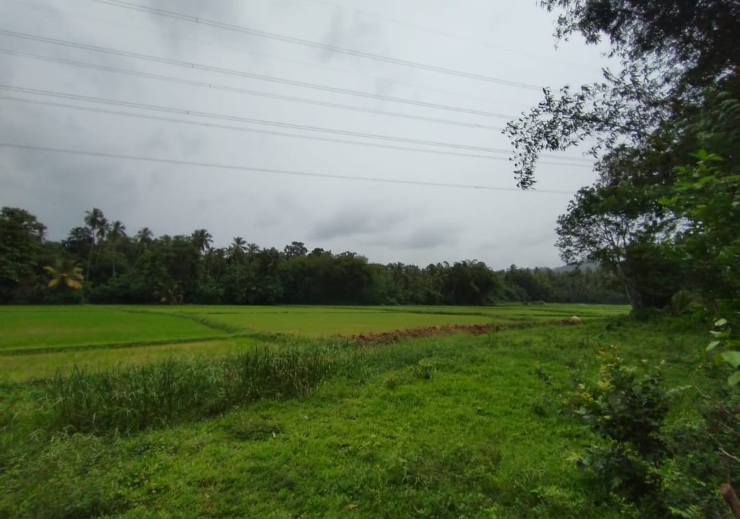 Land for Sale in කුරුණෑගල