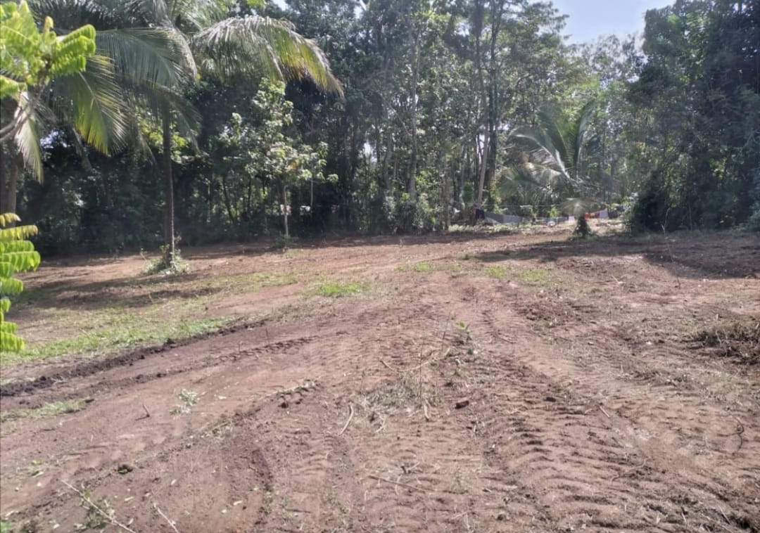 Land for Sale in කුරුණෑගල