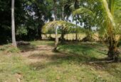 40 Perches Valuable Land for Sale Karadagolla