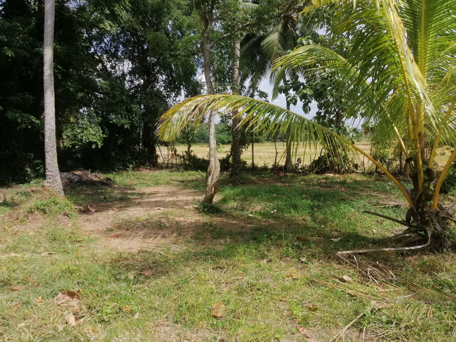 40 Perches Valuable Land for Sale Karadagolla