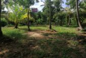 40 Perches Valuable Land for Sale Karadagolla