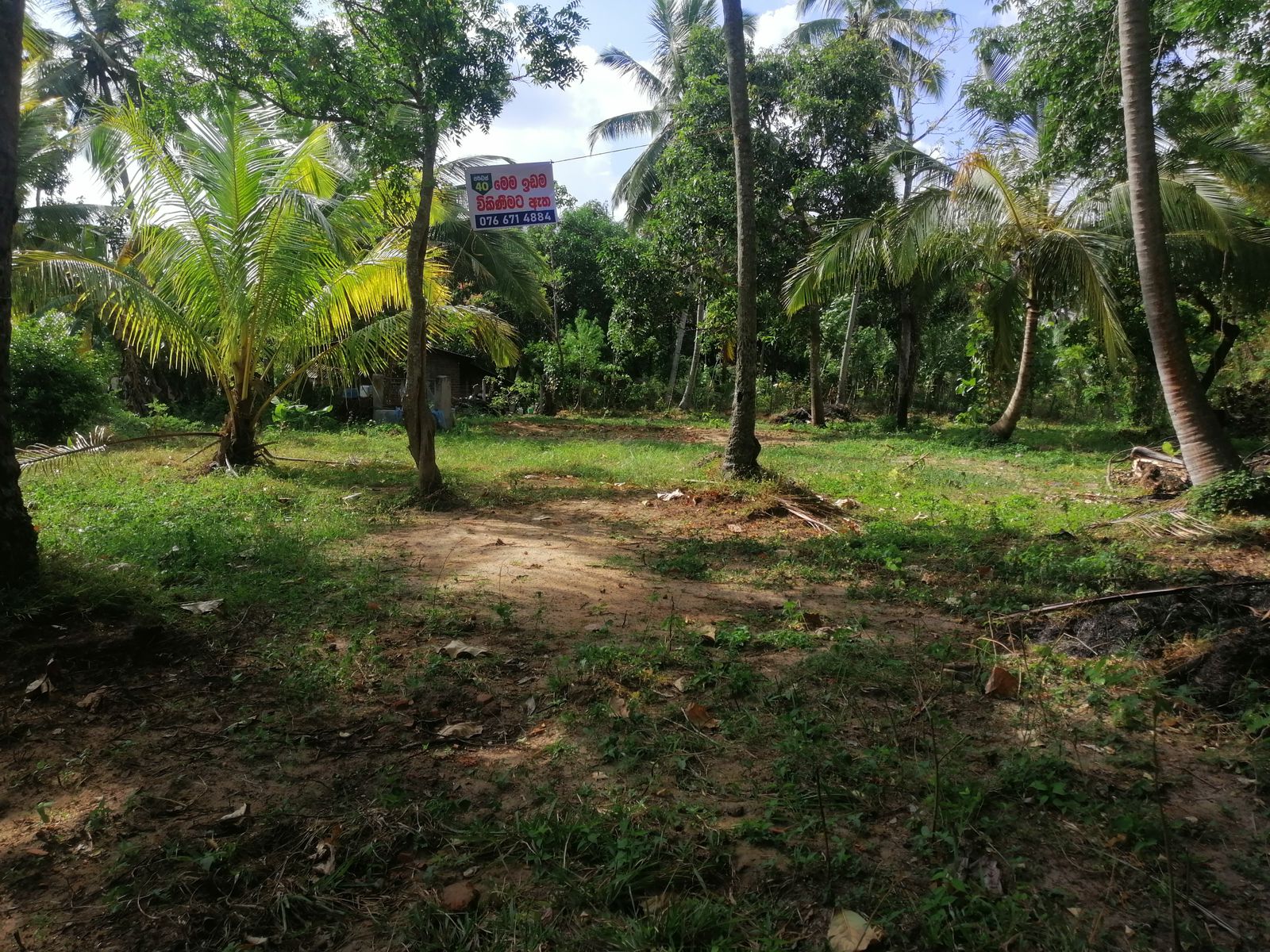 40 Perches Valuable Land for Sale Karadagolla
