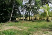 40 Perches Valuable Land for Sale Karadagolla