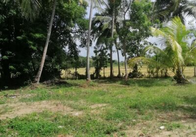 40 Perches Valuable Land for Sale Karadagolla