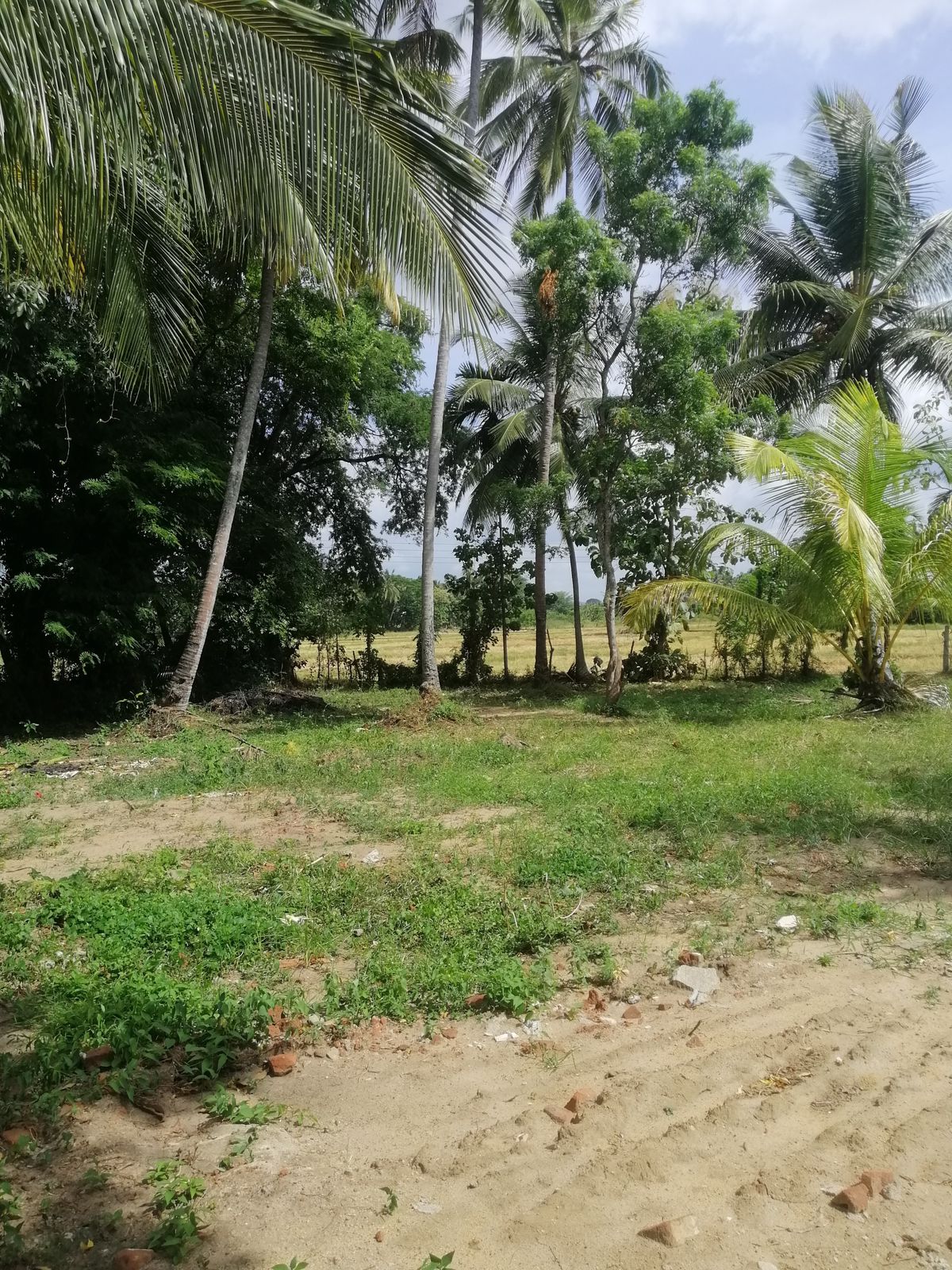 40 Perches Valuable Land for Sale Karadagolla