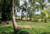 40 Perches Valuable Land for Sale Karadagolla