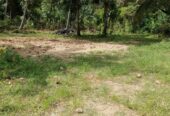 40 Perches Valuable Land for Sale Karadagolla
