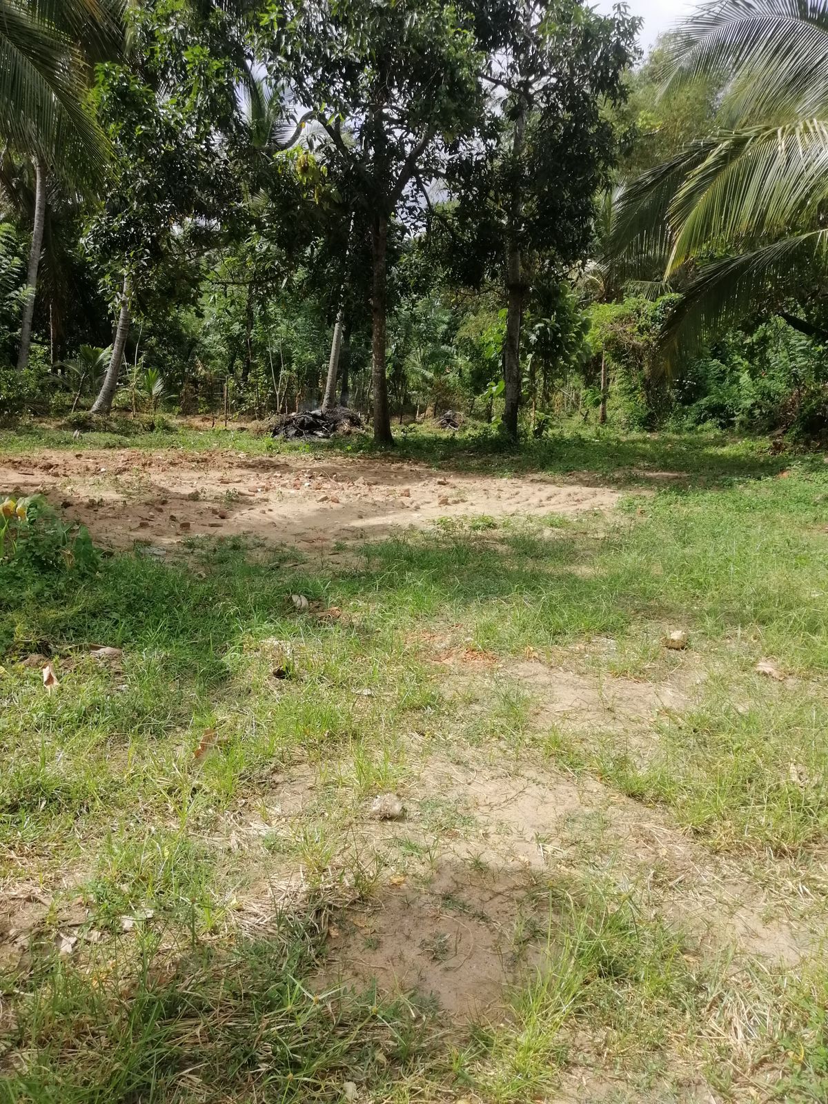 40 Perches Valuable Land for Sale Karadagolla