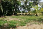 40 Perches Valuable Land for Sale Karadagolla