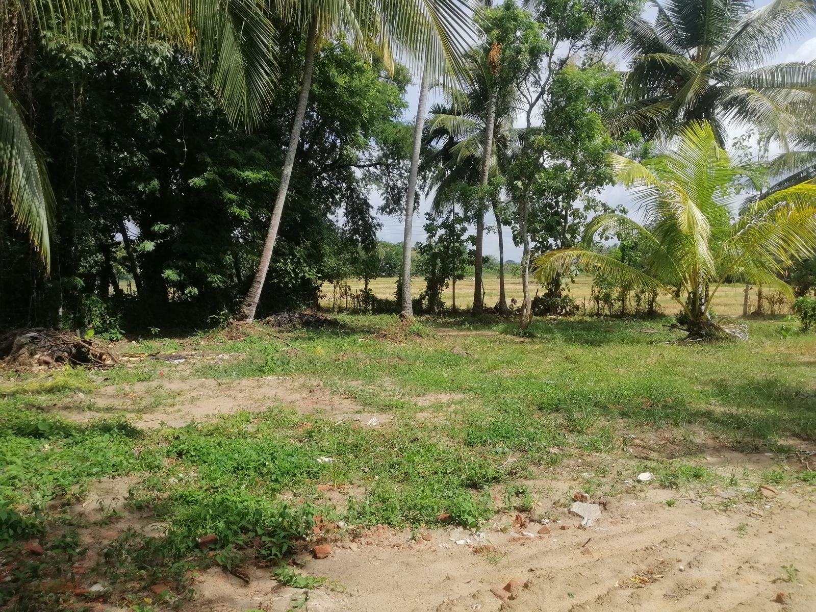 40 Perches Valuable Land for Sale Karadagolla