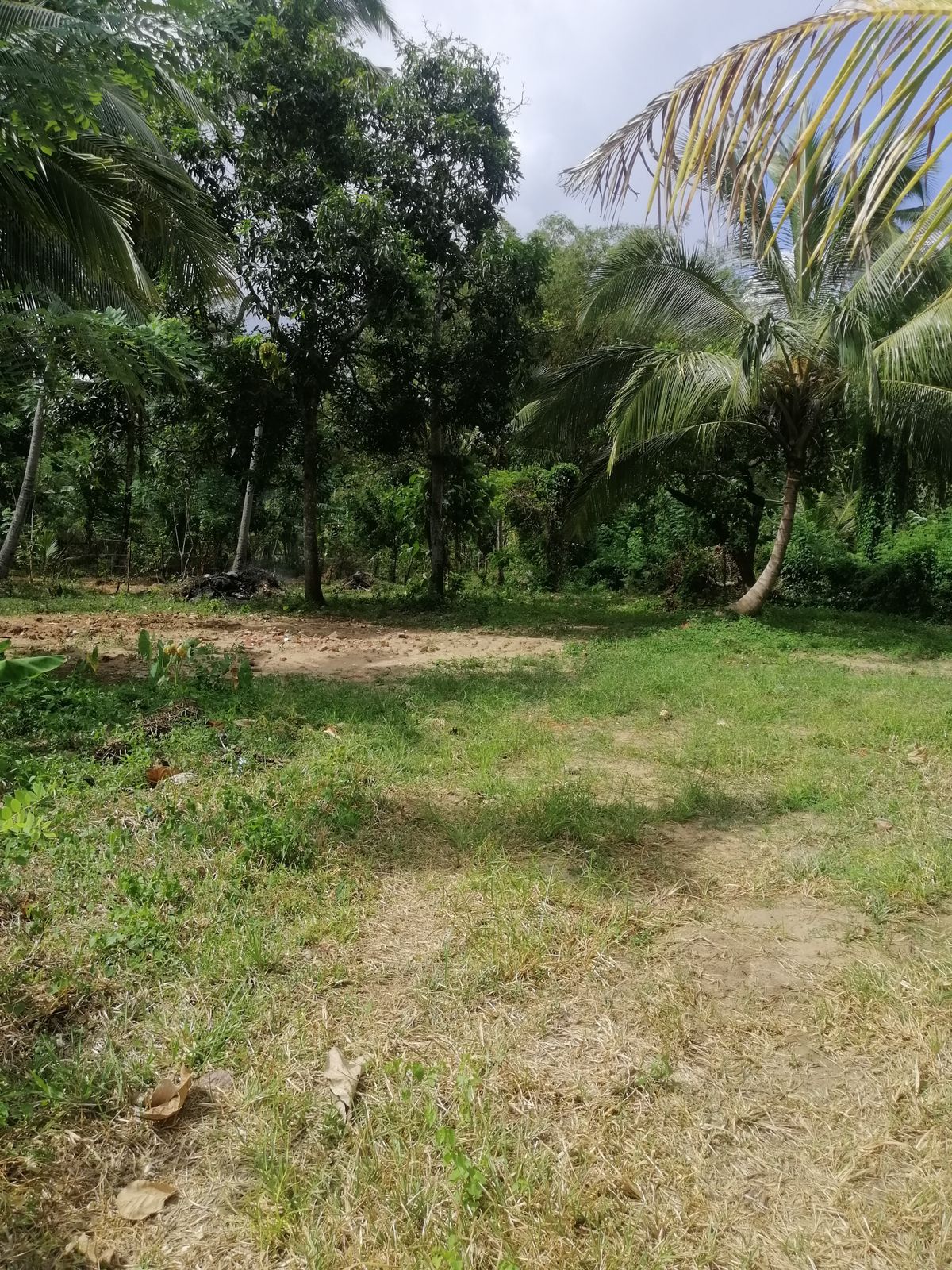 40 Perches Valuable Land for Sale Karadagolla