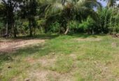 40 Perches Valuable Land for Sale Karadagolla