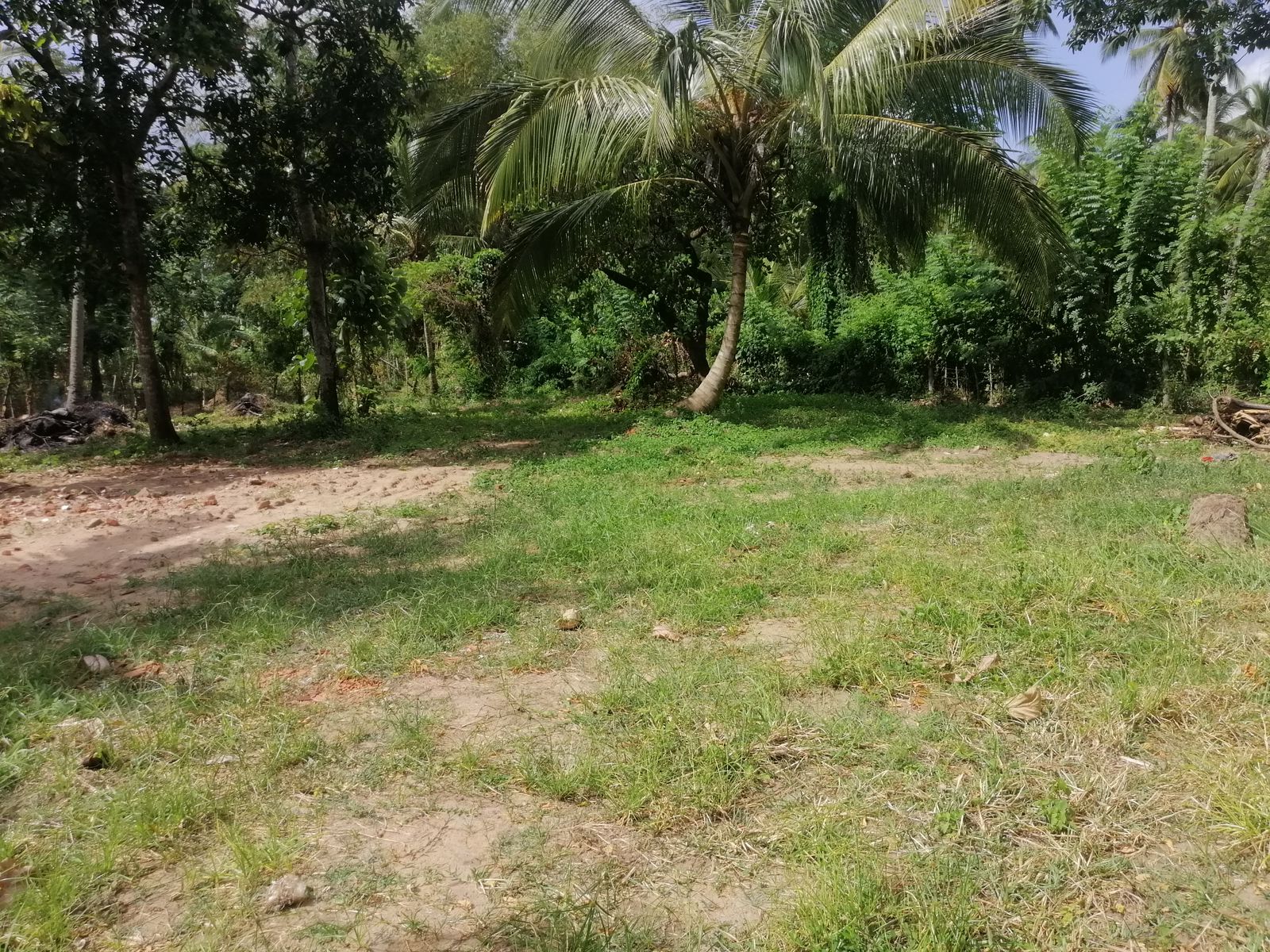 40 Perches Valuable Land for Sale Karadagolla