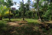 40 Perches Valuable Land for Sale Karadagolla