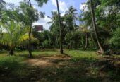 40 Perches Valuable Land for Sale Karadagolla
