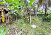 Land for Sale Bopitiya