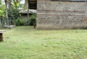 Land for Sale Bopitiya