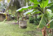 Land for Sale Bopitiya
