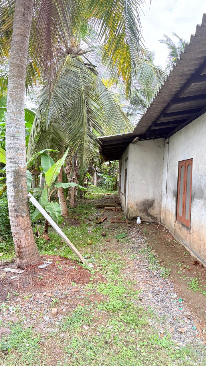 Land for Sale Bopitiya