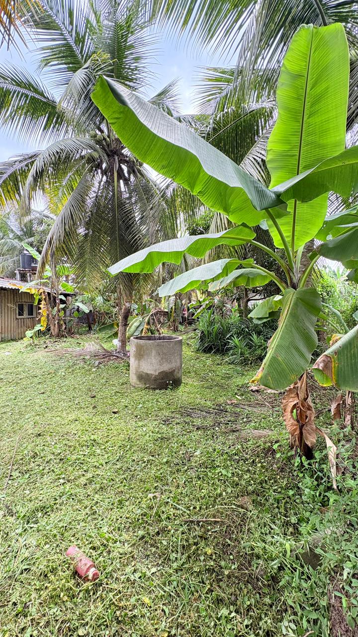 Land for Sale Bopitiya