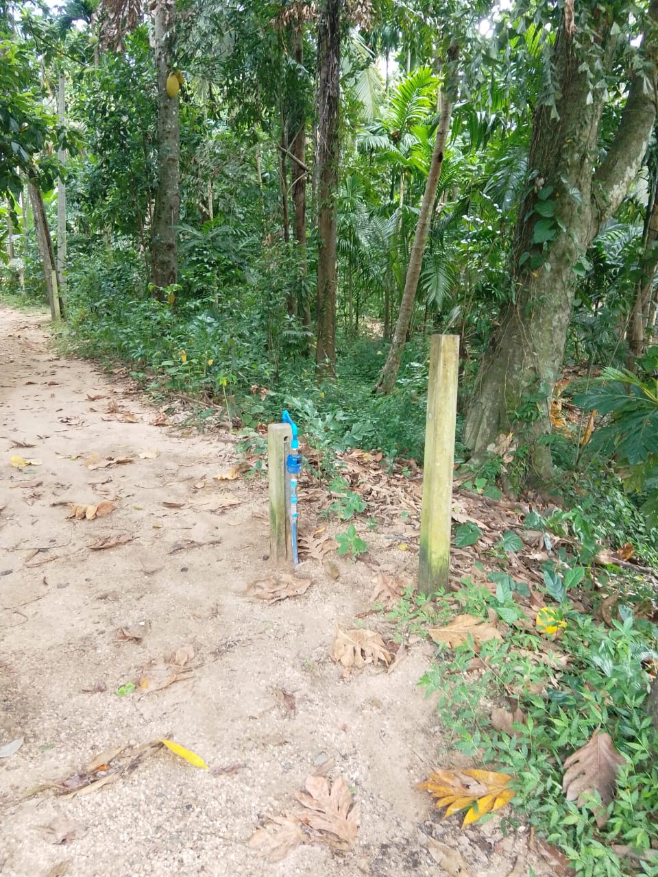 Land Sale in බුත්තල