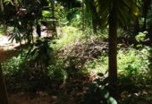 Land Sale in බුත්තල