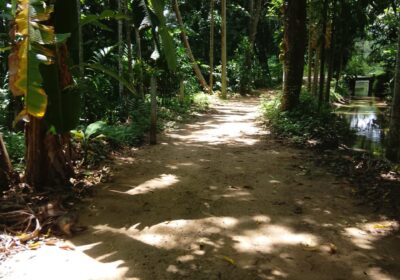 Land Sale in බුත්තල