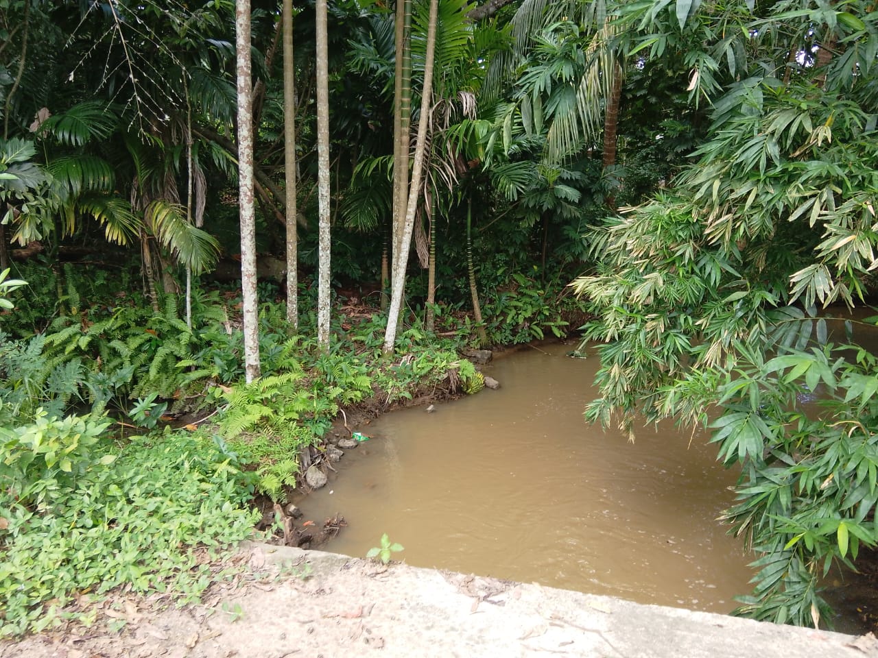 Land Sale in බුත්තල