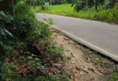 Land Sale in බුත්තල