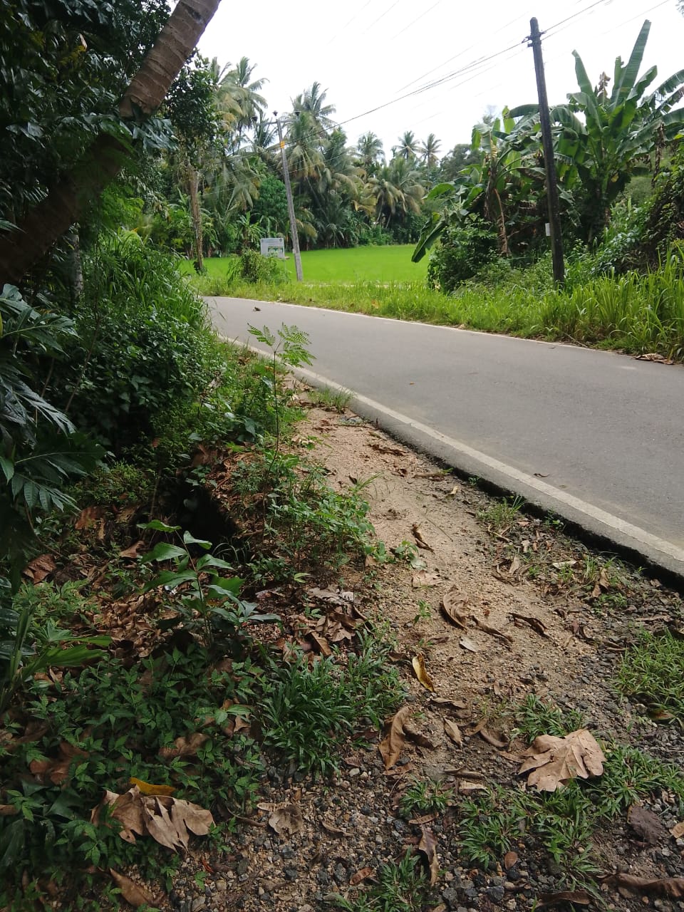 Land Sale in බුත්තල