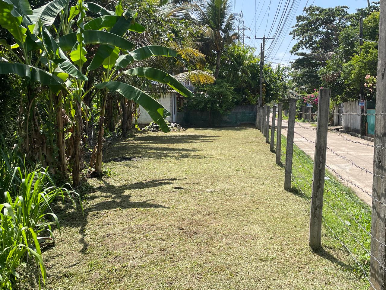 පානදුර නගරයෙන් වටිනා ඉඩමක් විකිනිමට ඇත