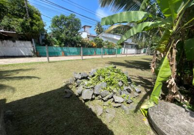 පානදුර නගරයෙන් වටිනා ඉඩමක් විකිනිමට ඇත