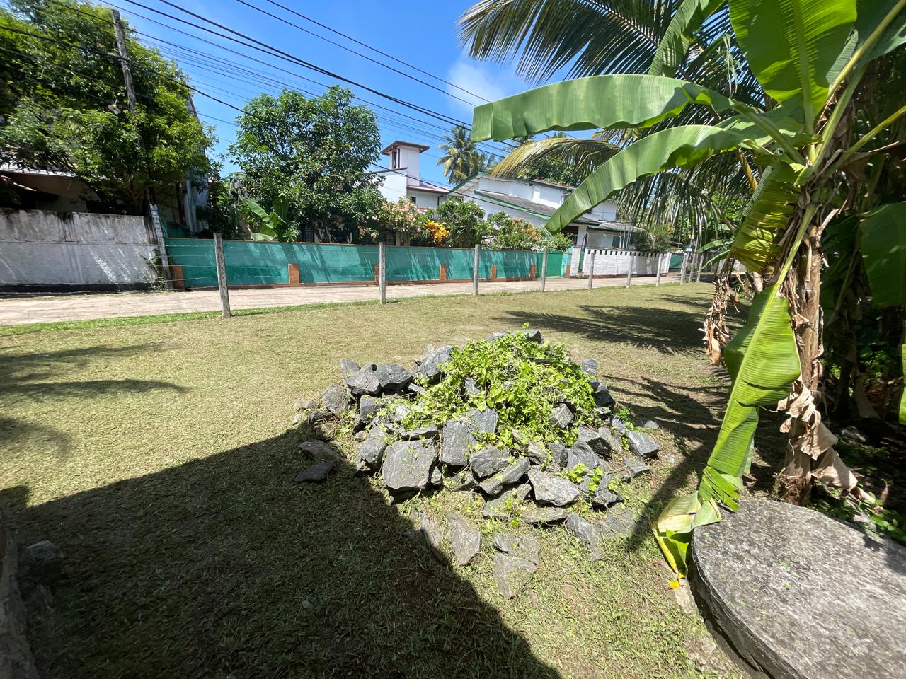 පානදුර නගරයෙන් වටිනා ඉඩමක් විකිනිමට ඇත